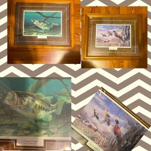2 framed pictures
